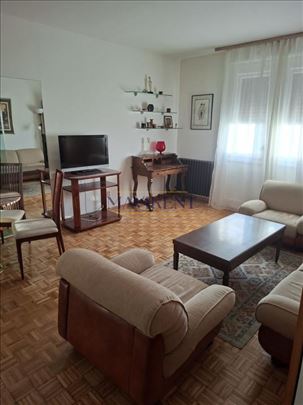 Renoviran stan - Botanička Bašta