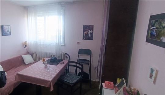 Voždovac, Fon, Vojvode Stepe, 28m2