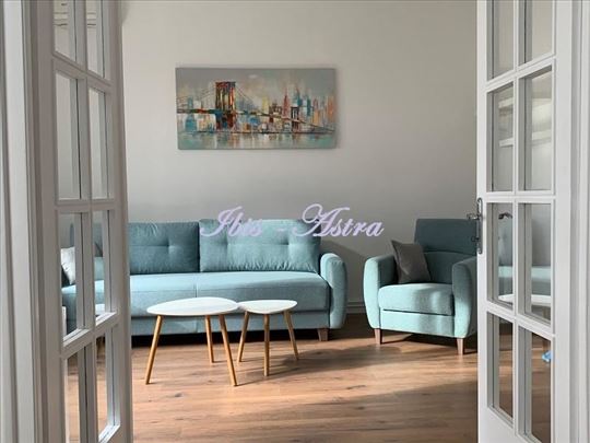 Lux stan za izdavanje Slavija ID#815451
