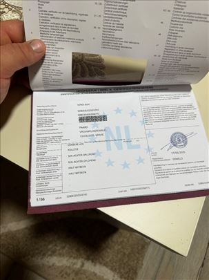 Prodajem kobilu KWPN 15 meseci holandski papiri