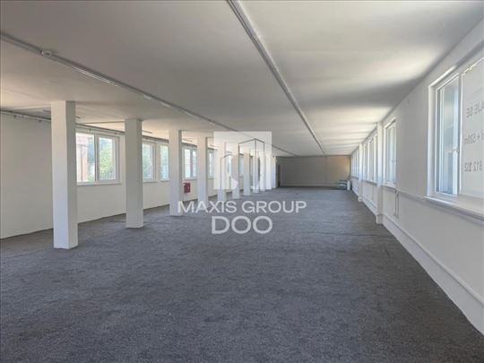 260m2 magacinski/poslovni prostor
