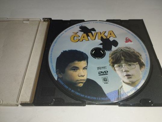 Čavka