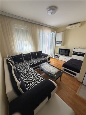 Kotež Milana Zečara, 2/3, TA, 105.000