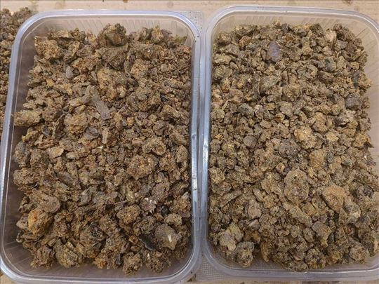 Propolis sirovi i kapi