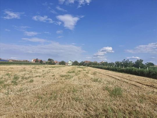 Batajnica,plac 41 ari ID#1782