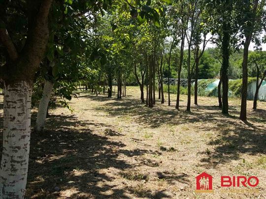 Kuća,Čortanovci,Centar,kv: 65.00, ID: 3000992