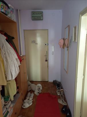 Zemun Mića Radakovića 37m2 +L 1,0 samo keš kupci 
