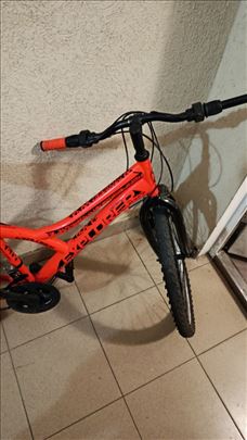 Capriolo bocikl 22