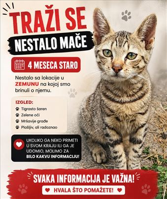 Nestali mačići