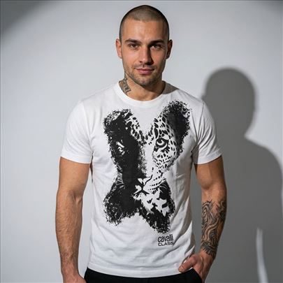Cavalli ekstra lepe original muške majice