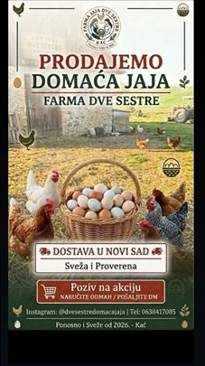 DOMAĆA JAJA – „DVE SESTRE“ ❤️ moze i prevoz