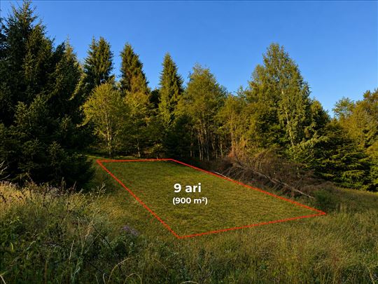 Kopaonik plac 9 ari