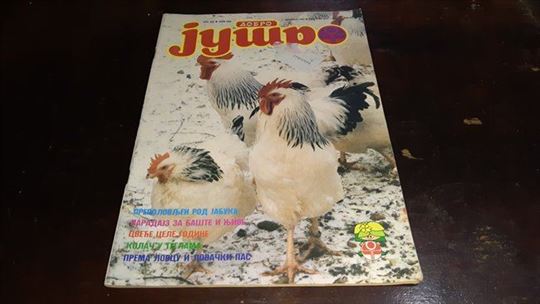 Dobro jutro