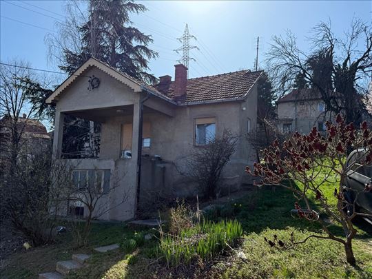 Smederevo - 2.0(Terasa/dvorište) - Papazovac
