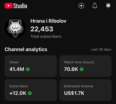 Monetizovani Youtube kanali na prodaju