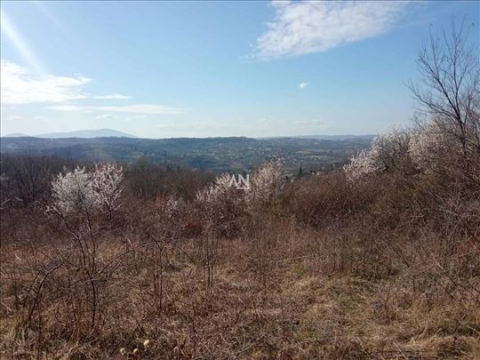 Sopot, Mali Požarevac, Mala Ivanča, 42 ara ID#7328