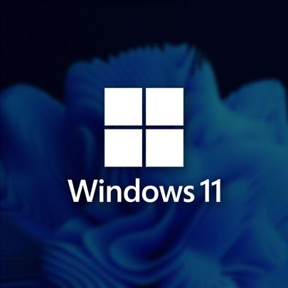 Windows 11 Pro 64 bit/32 bit