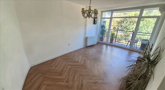 Konjarnik- odličan 2.5 u Milića Rakića