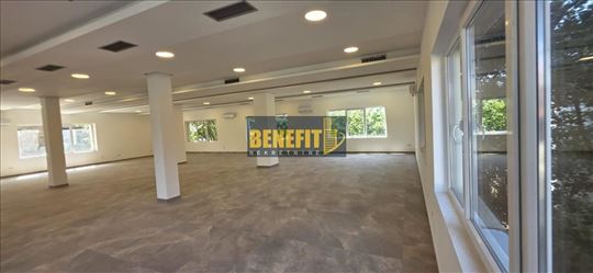 Zemun Polje, magacinsko - poslovni prostor, 500m2,
