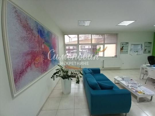 Borska,120m2+100 magacin,pr, višenamenski, opremlj