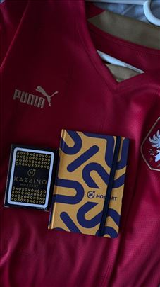 Fudbalski dres Srbije