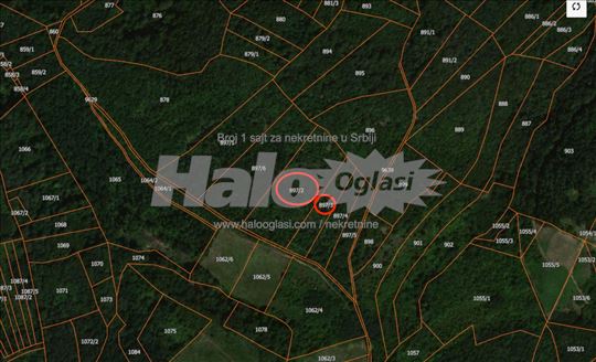 Ripanj, Veliki Vis, plac 154 ari
