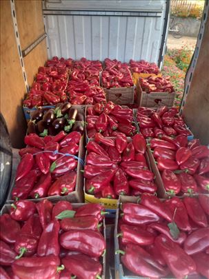 Crvena paprika prodaja