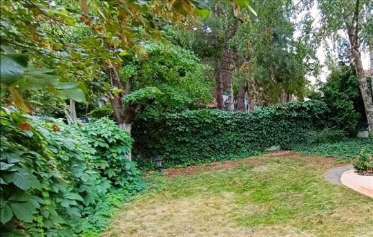Kuća 250m2 sa velikim dvorištem