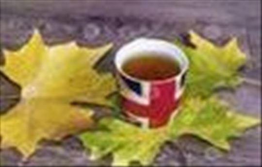 Engleski za osnovce i srednjoškolce