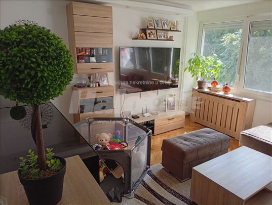 Lux namešten stan 60m2 NBG (zamena)