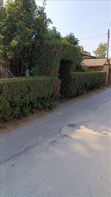 Kuća sa lepim dvorištem