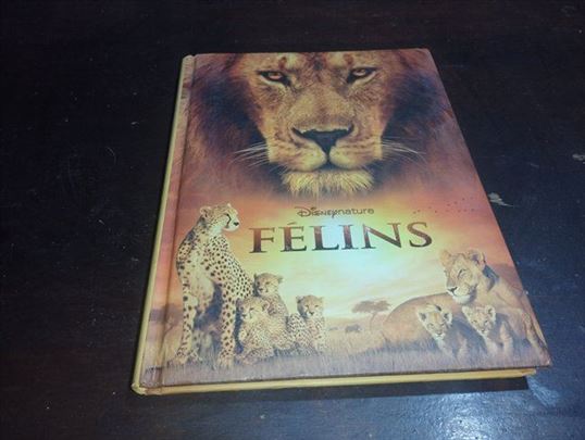 Félins