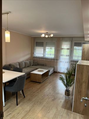 Izdaje se četvorosoban stan na Novom Beogradu