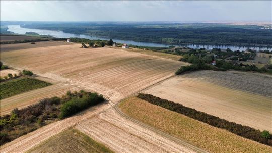 Beška Poljoprivredno zemljište 1,8ha HITNO!