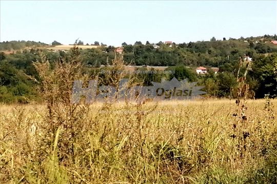 Darosava – plac 50 ari – Njiva + Šuma