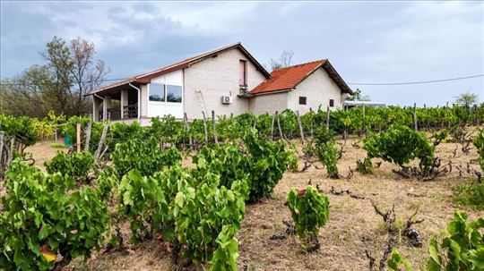 Kuća i imanje od 1,87ha sa zasadima-Donje Štiplje,