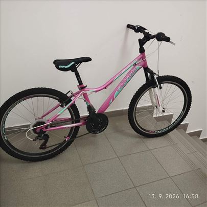 CAPRIOLO 24 kao nov MTB DIAVOLO DX 400FS