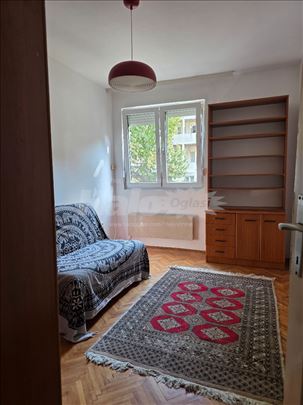 Izdajem lep i svetao stan, 50m2, Karaburma