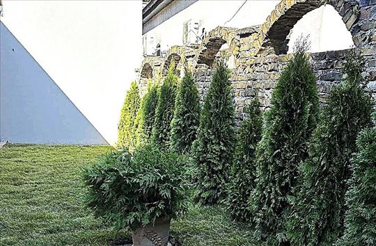 Zemun, Cara Dušana, kuća sa dvorištem, renovirana