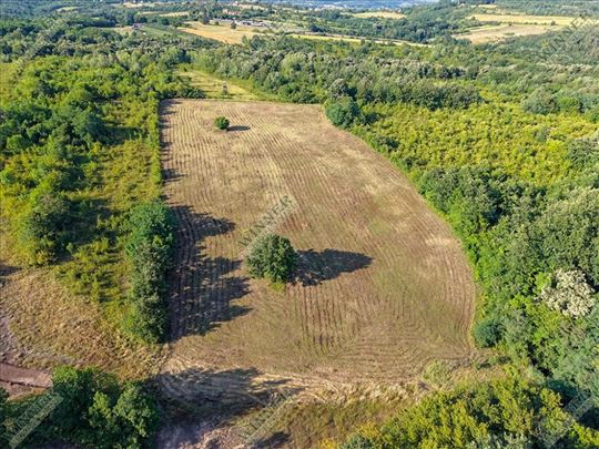 Prodaja: Uknjiženo Poljoprivredno Zemljište – Babe