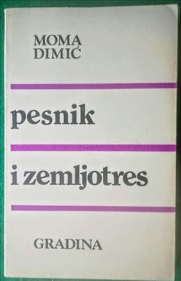 Pesnik i zemljotres, Momak Dimić.