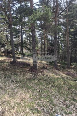 Plac na Divčibarama kod Hotela Crni Vrh