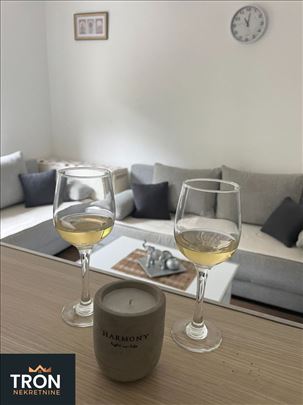 Garsonjera u blizini Vrnjačkih Termi 25m2