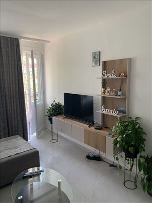 Renoviran dvosoban stan u Erdogliji