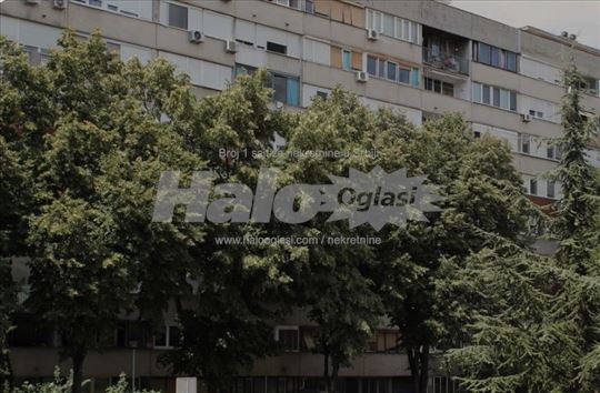 Top investicija: Stan 35m² na Novom Beogradu