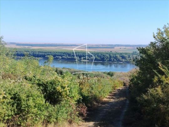 Plac sa pogledom na Dunav ID#16480