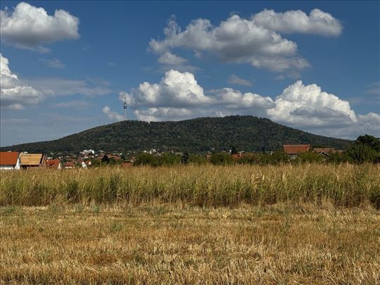 Avala (Pinosava) 67 ari