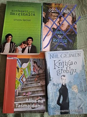Knjige za tinejdžere, 13 - 19 godina