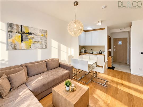 Sunčan, potpuno opremljen stan u Vidik Residence
