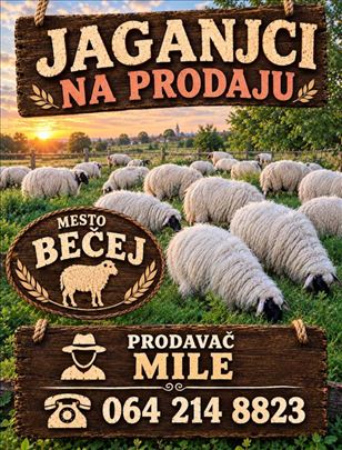 Ovce,jagajnci, jarad i koze